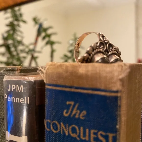 925 Labradorite Ring from Rajasthan - Picture 6 of 12